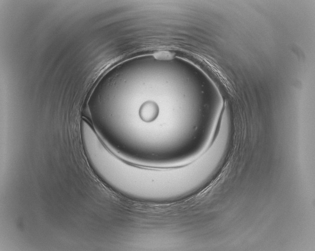 X0000116001273200912031501