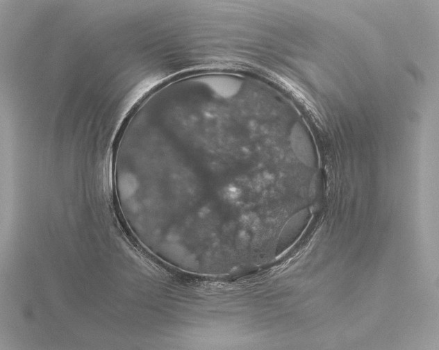 X0000116001275200912031501