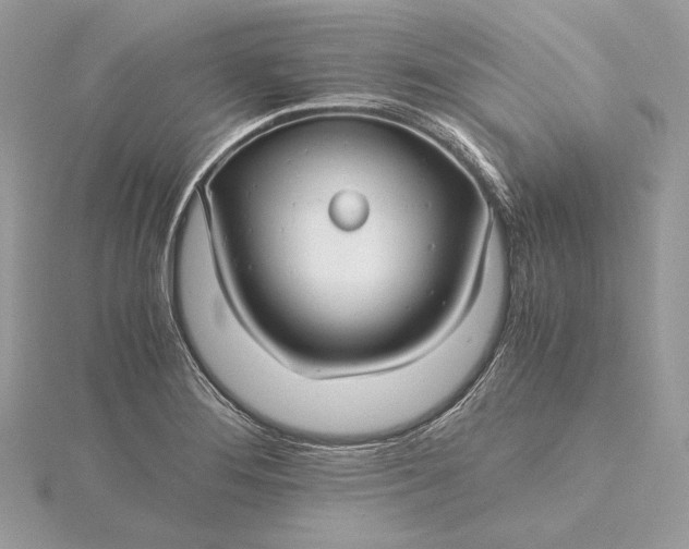 X0000116001276200912031501