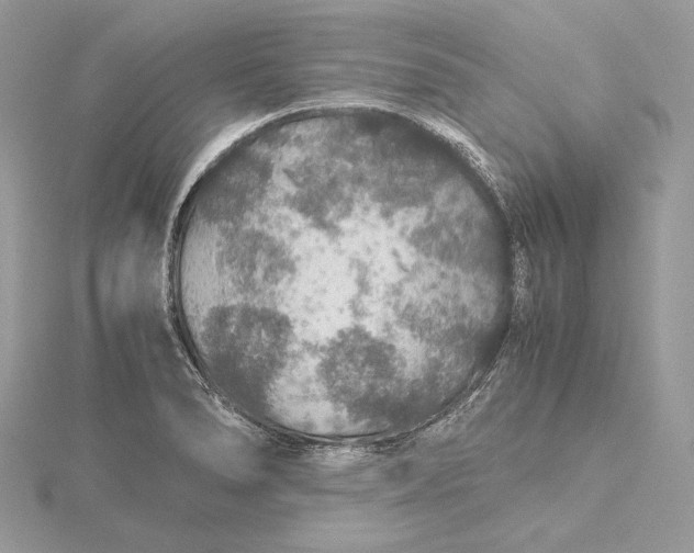 X0000116001278200912031501