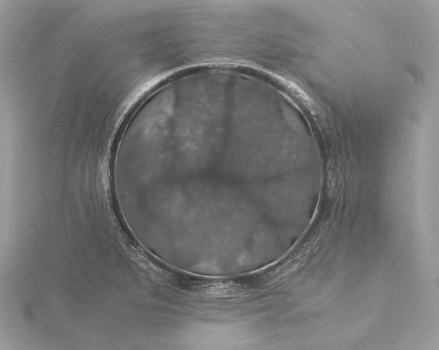 X0000116001279200912031501