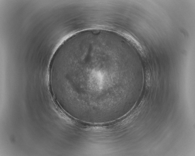 X0000116001280200912031501