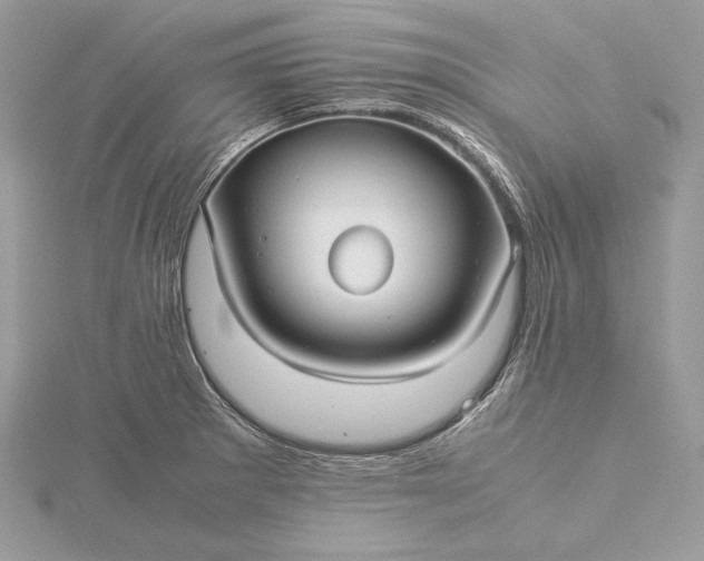 X0000116001281200912031501