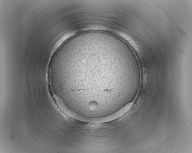 X0000116001282200912031501