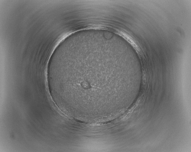 X0000116001283200912031501