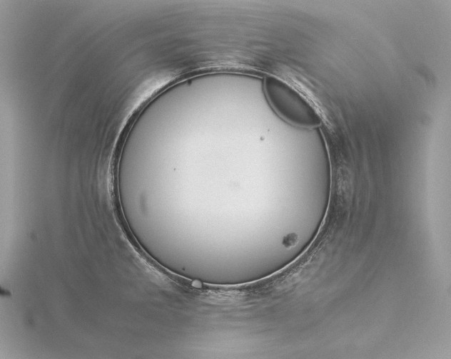 X0000116001285200912031501