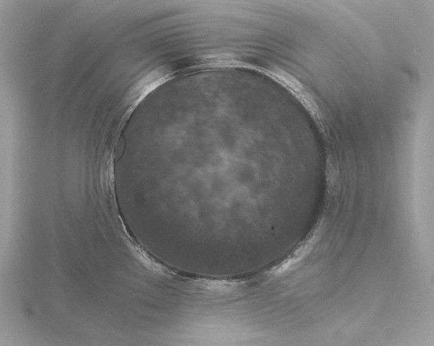 X0000116001289200912031501