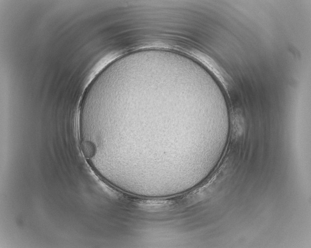 X0000116001290200912031501