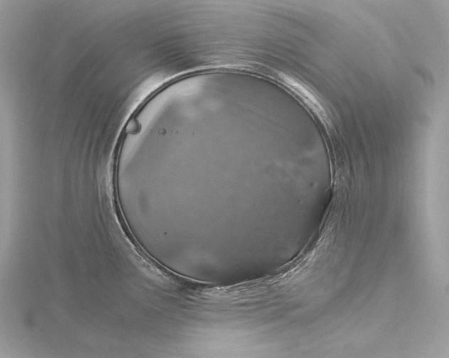 X0000116001291200912031501