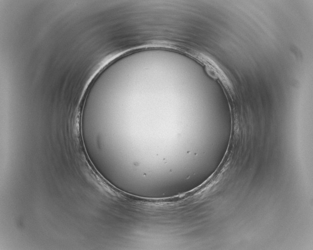 X0000116001292200912031501