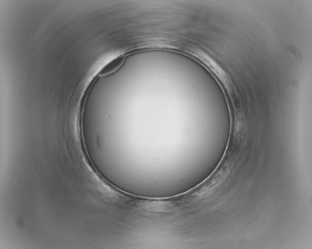 X0000116001293200912031501