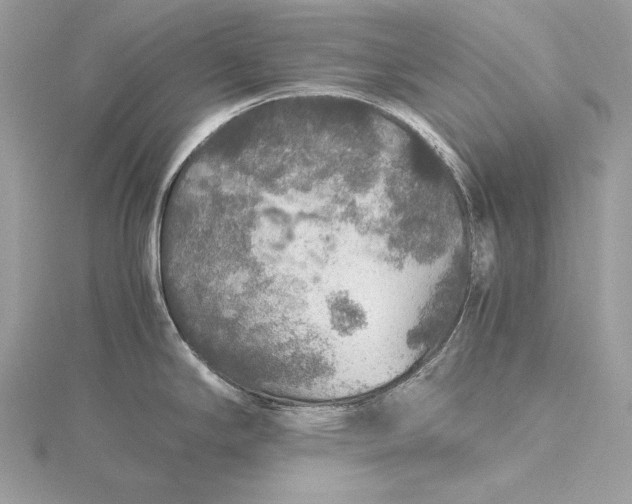 X0000116001294200912031501