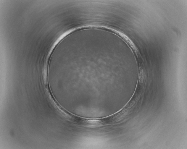 X0000116001295200912031501