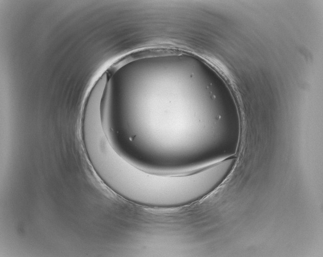 X0000116001296200912031501