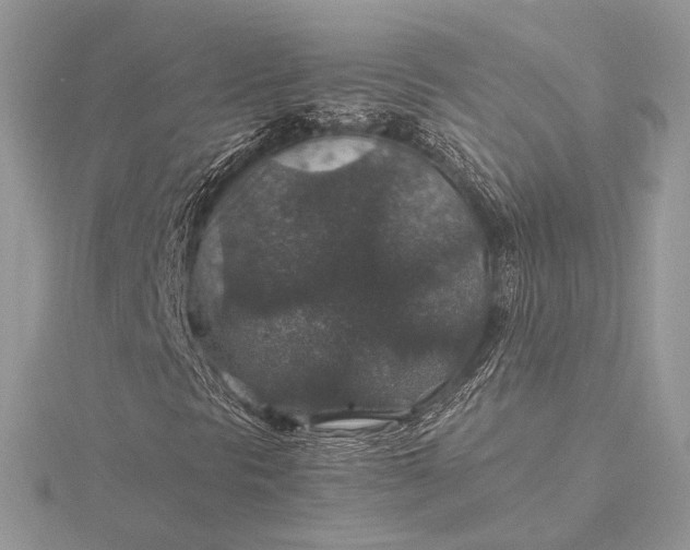 X0000116001297200912031500