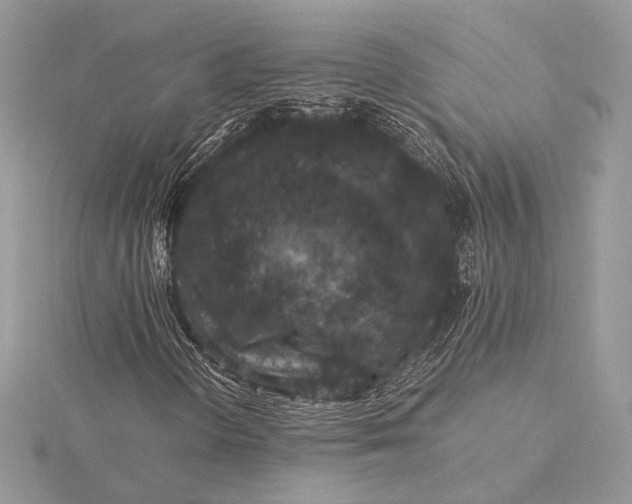 X0000116001298200912031500