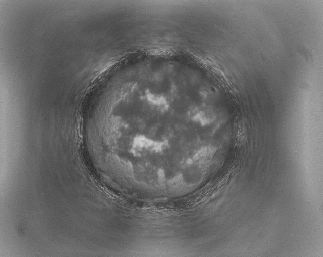 X0000116001301200912031500