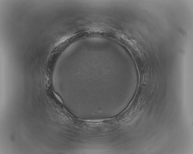 X0000116001303200912031500