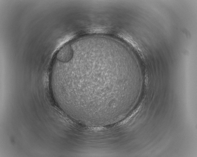 X0000116001309200912031500