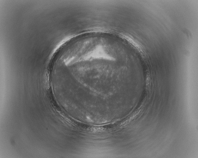 X0000116001310200912031500