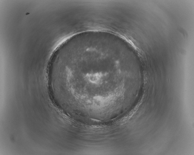 X0000116001311200912031500