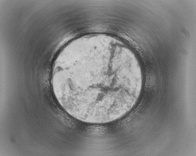 X0000116001314200912031500