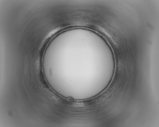 X0000116001315200912031500