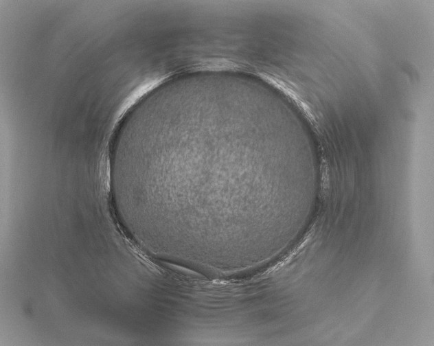 X0000116001317200912031500