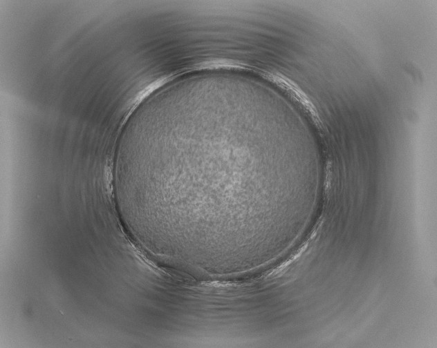 X0000116001321200912031500