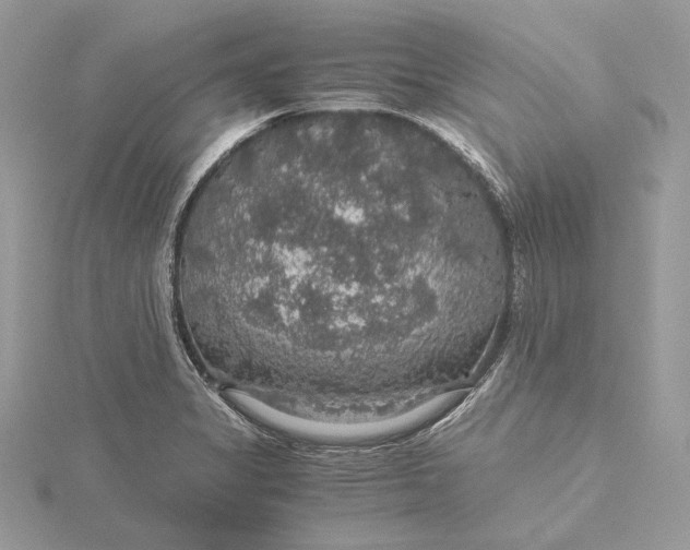 X0000116001325200912031500