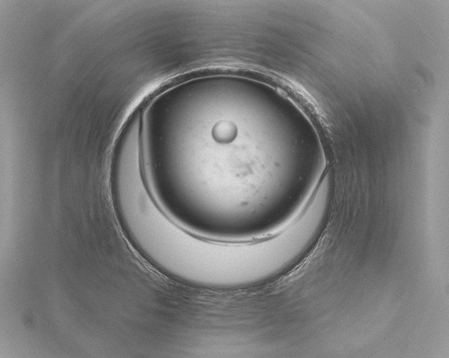 X0000116001326200912031500