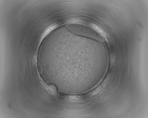 X0000116001330200912031500