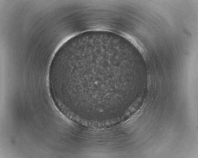 X0000116001331200912031500