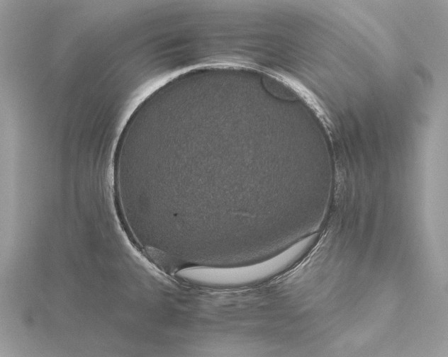 X0000116001335200912031500