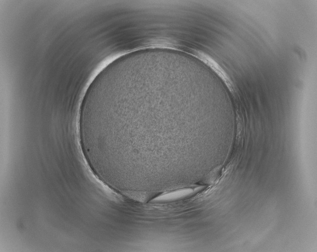 X0000116001339200912031501