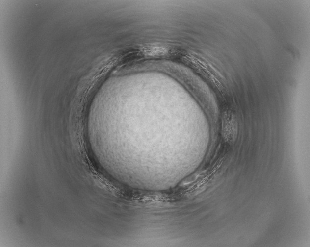 X0000116001345200912031500