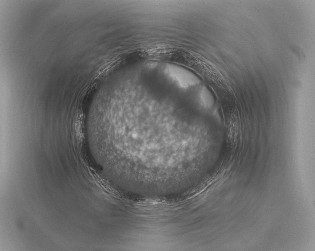 X0000116001346200912031500