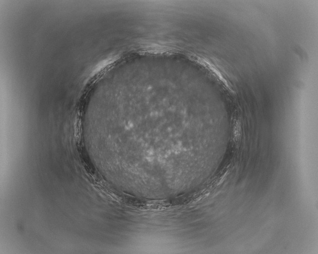 X0000116001350200912031500