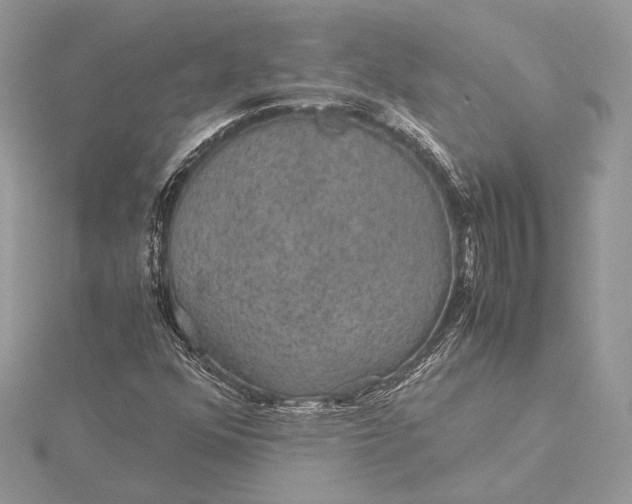 X0000116001352200912031500