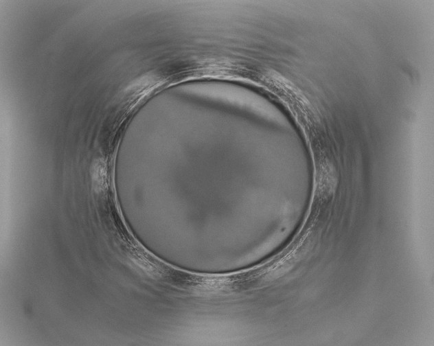 X0000116001353200912031500