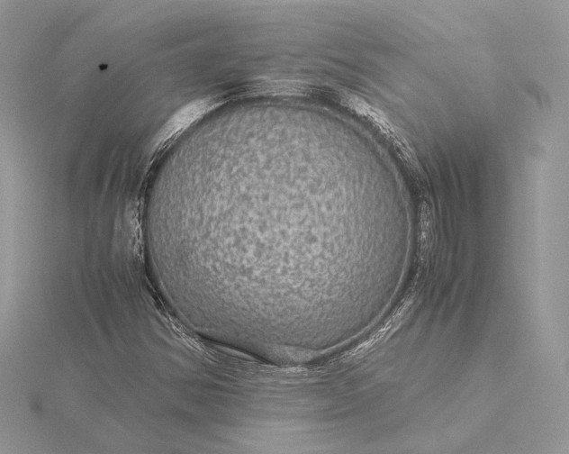 X0000116001354200912031500