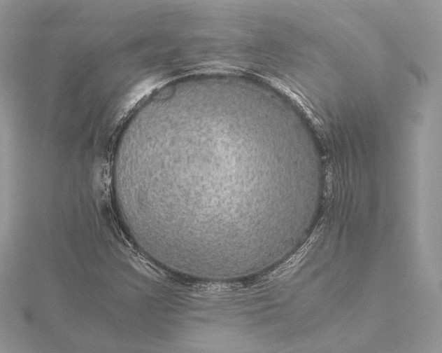 X0000116001355200912031500