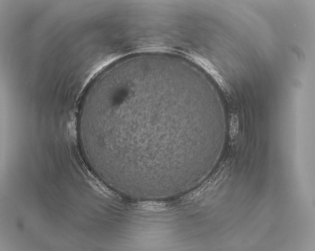 X0000116001356200912031500