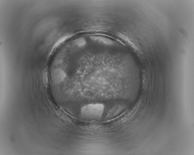 X0000116001358200912031500