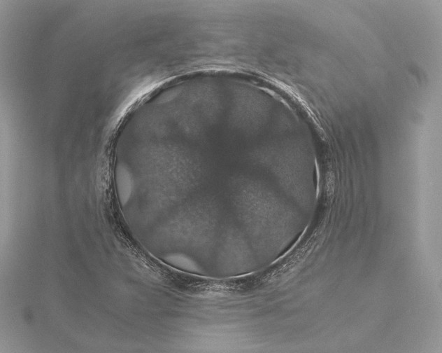 X0000116001359200912031500