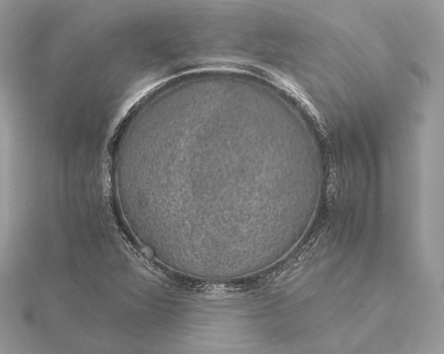 X0000116001360200912031500