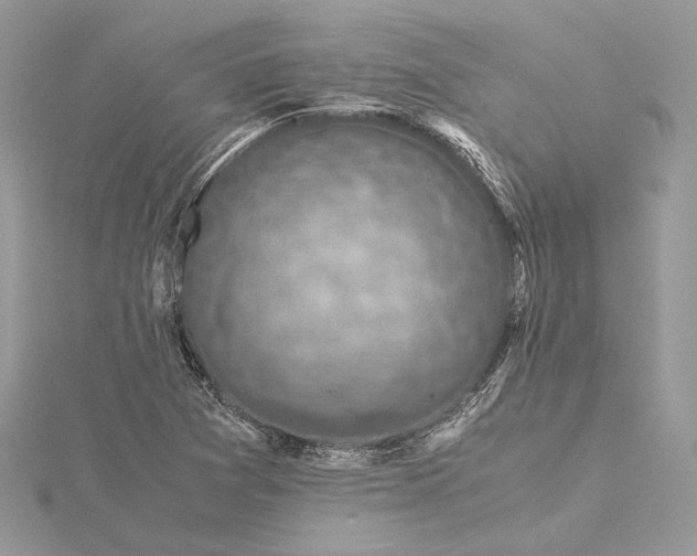 X0000116001361200912031500