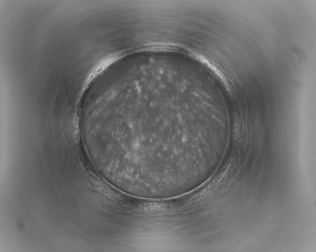 X0000116001362200912031500