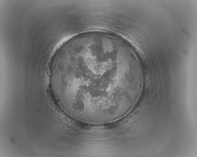 X0000116001363200912031500