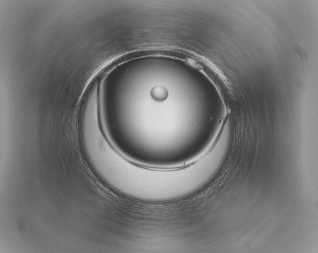 X0000116001364200912031500